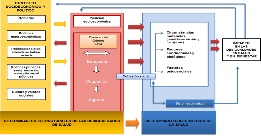 Alimentación y Actividad