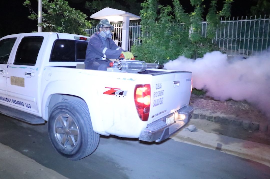 INICIARÁ SALUD ESTATAL OPERATIVO DE FUMIGACIÓN CONTRA EL DENGUE EN LA PAZ Y LOS CABOS
